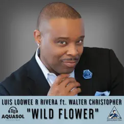 Wild Flower (feat. Walter Christopher) - Single by Luis Loowee R Rivera album reviews, ratings, credits