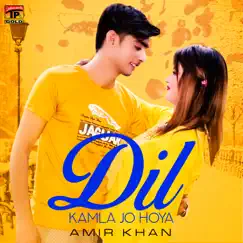 Dil Kamla Jo Hoya - Single by Ustad Amir Khan album reviews, ratings, credits