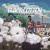 Cotton Season (feat. Neswordz) song lyrics