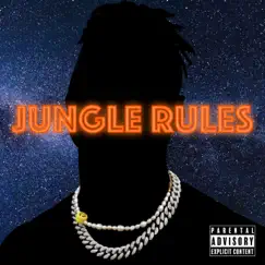 Jungle Rules by Energyy album reviews, ratings, credits
