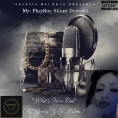 What's New Bae - Single by Mr. PlayBoy Silent Dreamz album reviews, ratings, credits