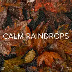 Rainfall Rainforest Song Lyrics