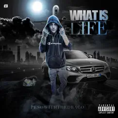 What Is Life - Single by PesoWithTheDraco album reviews, ratings, credits