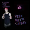 VibeWithCeeJay album lyrics, reviews, download