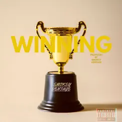 Winning (Radio Edit) - Single by SmoKey VentAge album reviews, ratings, credits