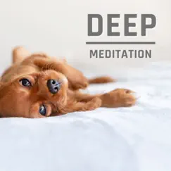 Deep Meditation by Baby Lullaby Academy & Relaxing Spa Music Zone album reviews, ratings, credits