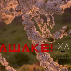 Awake by Ted album reviews, ratings, credits