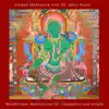 Mindfulness Meditations for Tranquility and Insight album lyrics, reviews, download