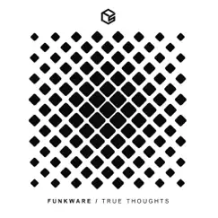 True Thoughts - Single by Funkware album reviews, ratings, credits