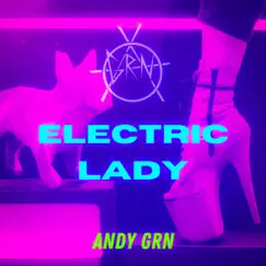 Electric Lady Song Lyrics