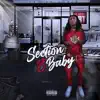 Section 8 Baby - Single album lyrics, reviews, download