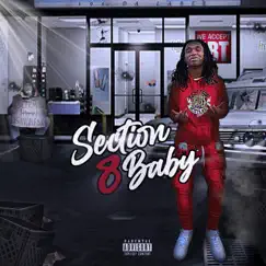 Section 8 Baby - Single by MereMere191 album reviews, ratings, credits