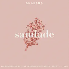 Saudade (feat. Simón Grossmann, Los Hermanos Naturales & José y el Toro) [Acústica] - Single by Anakena album reviews, ratings, credits