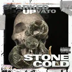 Stone Cold - Single by Sparked Up Vato album reviews, ratings, credits