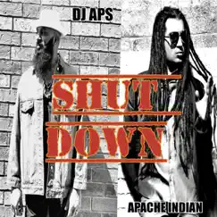 Shut Down (feat. Apache Indian) - Single by DJ Aps album reviews, ratings, credits