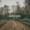 Goodbye London - Single album lyrics, reviews, download