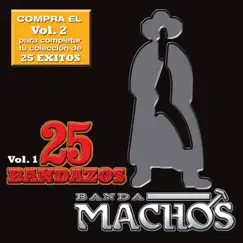25 Bandazos de Machos, Vol. 1 by Banda Machos album reviews, ratings, credits