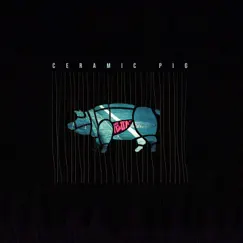 Ceramic Pig by Svobotnik album reviews, ratings, credits