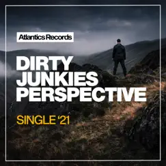 Perspective - Single by Dirty Junkies album reviews, ratings, credits