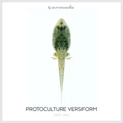Versiform, Pt. 1 by Protoculture album reviews, ratings, credits
