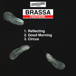 Feathers - Single by Brassa album reviews, ratings, credits