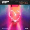 Feel My Love (feat. Chanin) - Single album lyrics, reviews, download