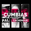 Pal Cachengue (feat. Sergio Moran y su Banda, Los Del Palmar, Los Del Ofelia, Yuli y Los Girasoles, La Revancha, Juan Jose Piedra Buena, Geréz y los del Sur & Chanchi y Los Autenticos) album lyrics, reviews, download