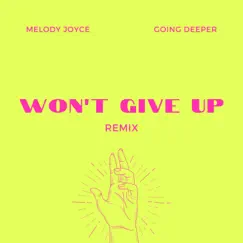 Won't Give Up (Remix Extended) Song Lyrics