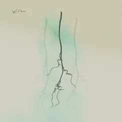 Willow (Wind Noise) Song Lyrics