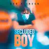 Secluded Boy - Single album lyrics, reviews, download