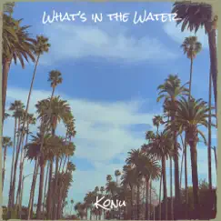 What's in the Water - Single by Konu album reviews, ratings, credits