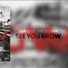 See You Grow - Single album lyrics, reviews, download
