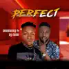 Perfect (feat. DJ Cash) - Single album lyrics, reviews, download