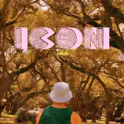 Icon Song Lyrics