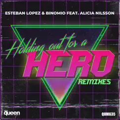 Holding out for a Hero (feat. Alicia Nilsson) [Dani Brasil & Rafael Dutra Remix] Song Lyrics
