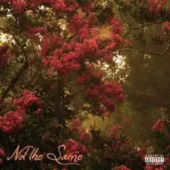 Not the Same (feat. Edgar Crespo & ItzWonderFull) Song Lyrics