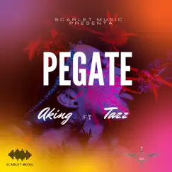 PEGATE Song Lyrics