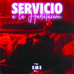 Servicio a la Habitación - Single by SMS album reviews, ratings, credits