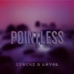 Pointless (Zhander Remix) Song Lyrics