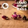 Liquid Drum & Bass Sessions 2021 Vol 46 album lyrics, reviews, download