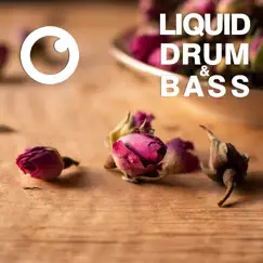 Liquid Drum & Bass Sessions 2021 Vol 46 by Dreazz album reviews, ratings, credits