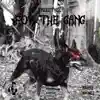 For the Gang (Freestyle) (feat. Banksy & Nookii) - Single album lyrics, reviews, download