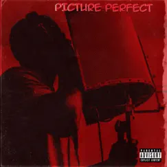 Picture Perfect (Radio Edit) Song Lyrics