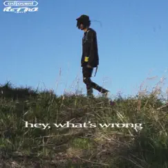 Hey, What's Wrong Song Lyrics