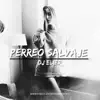 Perreo Salvaje - Single album lyrics, reviews, download