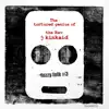 The Tortured Genius of the Rev. J Kinkaid (Fuzzy Folk #3) album lyrics, reviews, download