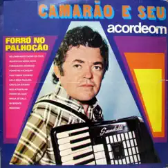 Forró no Palhoção by Camarão album reviews, ratings, credits