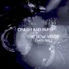 Crash and Burn : (Friday Electro Crash Mix) (Remix) [Remix] - Single album lyrics, reviews, download