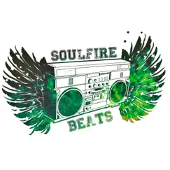 Turn up the Volume 12 (Nature's Anomoly) by Soulfire Beats album reviews, ratings, credits