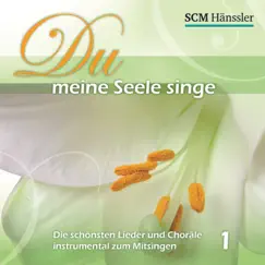 Du meine Seele singe (with Dennis Thielmann) by Gerhard Schnitter album reviews, ratings, credits